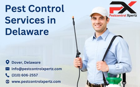 Eco-Friendly Pest Control in Glasgow: Safe Solutions That Work