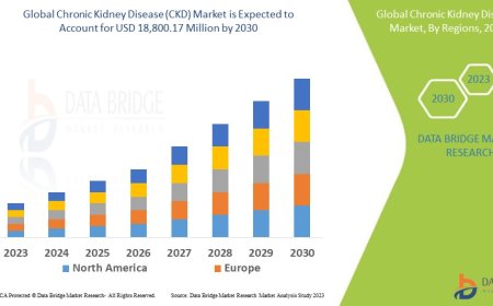 Increasing CKD Cases Drive Demand for Innovative Treatments Worldwide