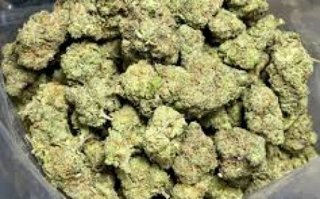 Candy Kush Strain: A Sweet Hybrid for Body and Mind