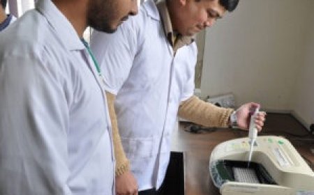 What Courses can be Opted After Completing BSc Biotechnology?