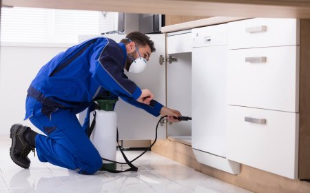 why clean chutes matter more than you think and what folks often forget about birds