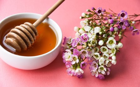 From Wellness Rituals to Healing Touch: The Aussie Honey Everyone's Talking About