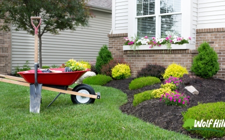 Landscaping in Manassas, VA: Creating Outdoor Spaces That Inspire
