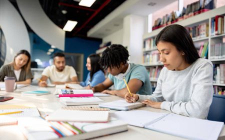 Refining Academic Excellence with Professional Dissertation Editing Help