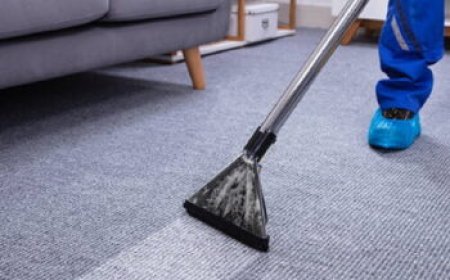 Why Carpet Cleaning Is Vital for a Comfortable Living Space