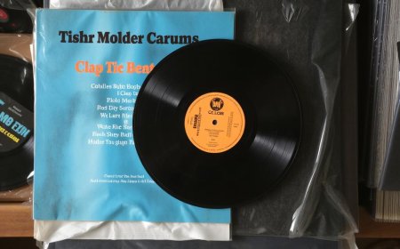 Hindi Vinyl vs Digital: Does Analog Sound More Authentic?