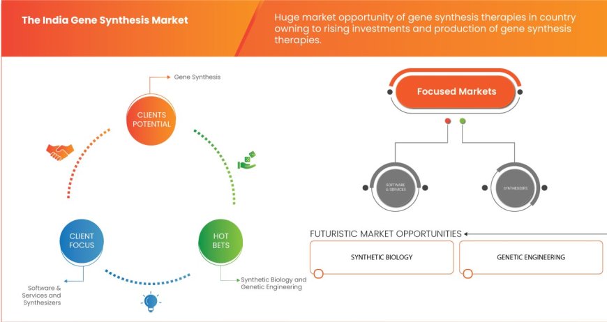India Gene Synthesis Market : Key Drivers and Restraints 2025 –2032