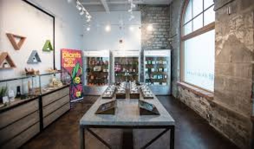 Finding the Perfect Cannabis Store: Your Complete Guide to Quality and Convenience