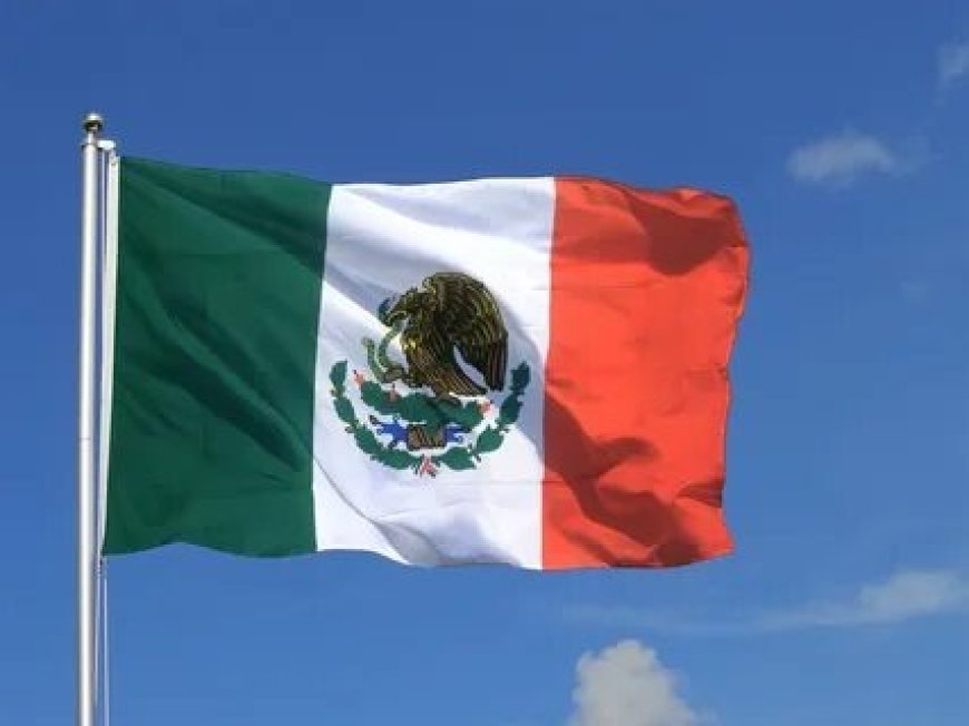 Mexico Flag Facts You Didn’t Learn in School