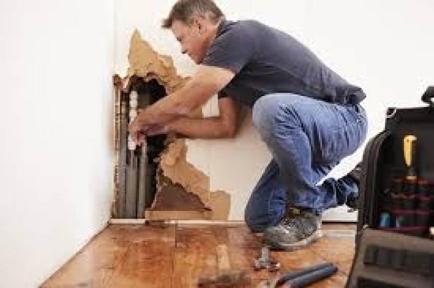 Water Damage Restoration Services Why You Need Professional Help
