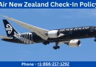 Air New Zealand Check In Options: Online, Mobile & Airport Explained