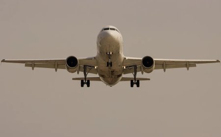 Delta Airlines DCA Terminal Explained: From Check-In to Boarding