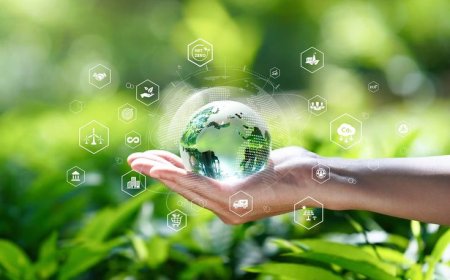 Environmental Software Solutions Review