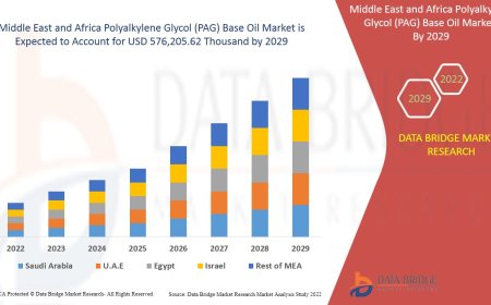 Middle East and Africa Polyalkylene Glycol (PAG) Base Oil Market: Insights and Competitive Analysis