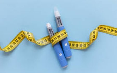 Top Weight Loss Medications That Actually Work