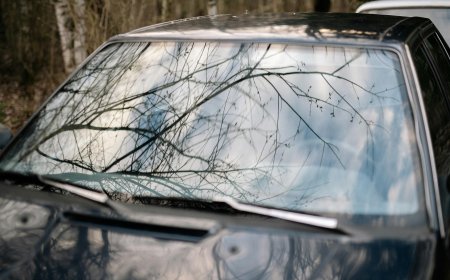 We Fix Windscreen Damage Fast with Affordable Repair Solutions Today