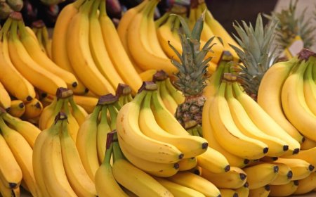 Bananas, Berries, and Beyond: Daily Fruits for Men’s Vitality