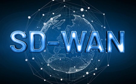 Building a Resilient Digital Infrastructure with SD-WAN?