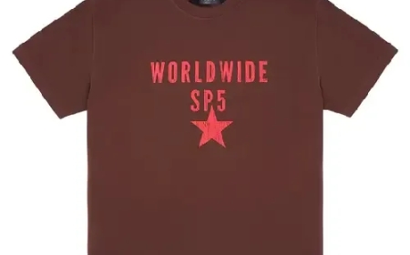 Spider Hoodie and why is it creating such a buzz