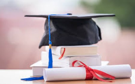 Start Your Global Accounting Career: ACCA Course Structure and Fee Breakdown