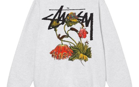 Why Stussy Sweatshirts Are Ideal for Athleisure Looks
