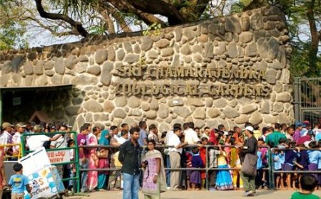 Explore the Fascinating World of Mysore Zoo Park Today