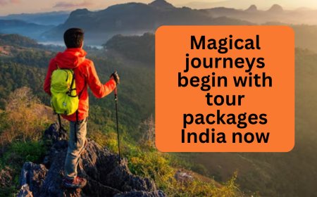 Magical journeys begin with tour packages India now