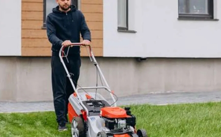 Lawn Service Companies, Best Lawn Care Service for Reliable and Professional Yard Maintenance