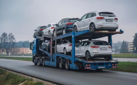 Choosing the Right Car Transport Service in New York