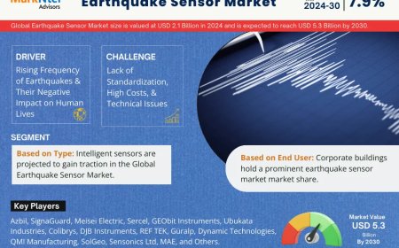 Earthquake Sensor Market Overview:  Growth & Strategy