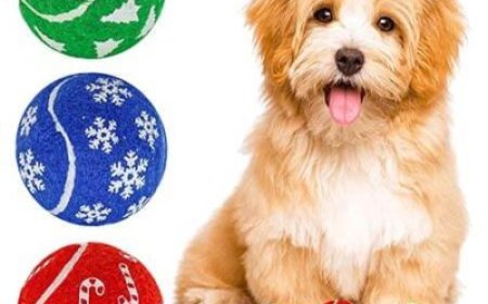 Sourcing Success in China: Harnessing the Power of a China Sourcing Agent