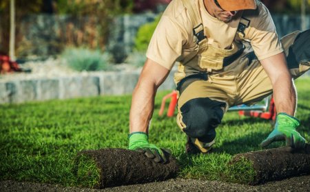Create the Outdoor Space You’ve Always Wanted with Expert Landscaping in South Auckland