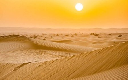  VIP Desert Safari Dubai – Luxury in the Dunes Redefined