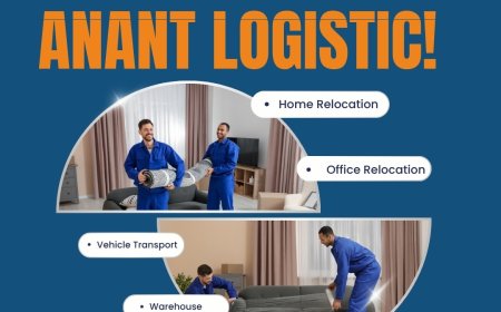 Your Go-To Packers and Movers East Delhi for Home and Pet Shifting