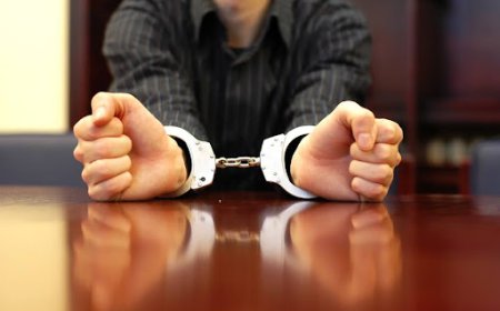 What Does a Federal Crimes Lawyer Do in Houston Cases?