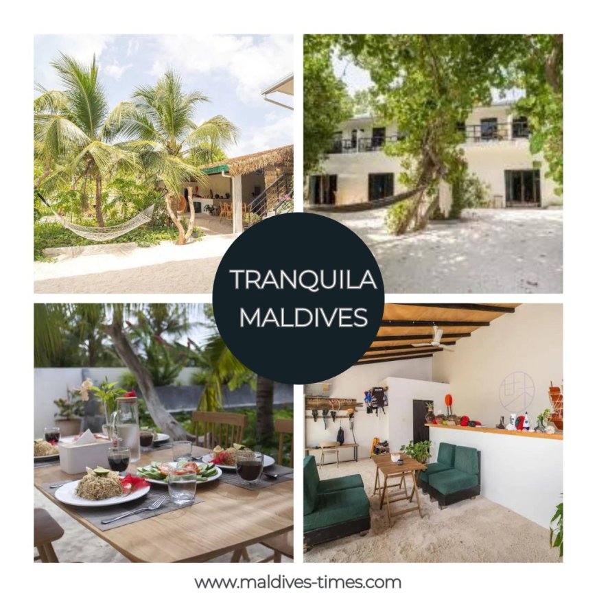 Floating Futures: How the Maldives Is Redefining Island Travel in 2025