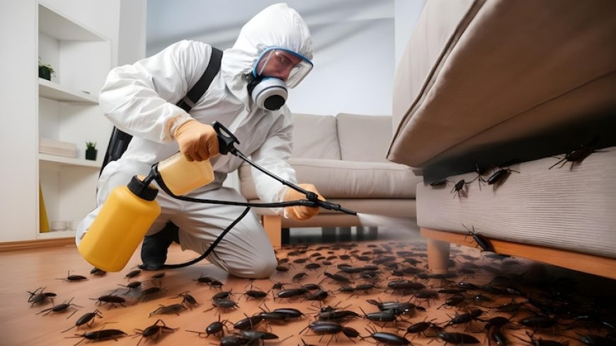 Protect Your Home from Unwanted Pests in Hoppers Crossing, Tarneit, and Point Cook