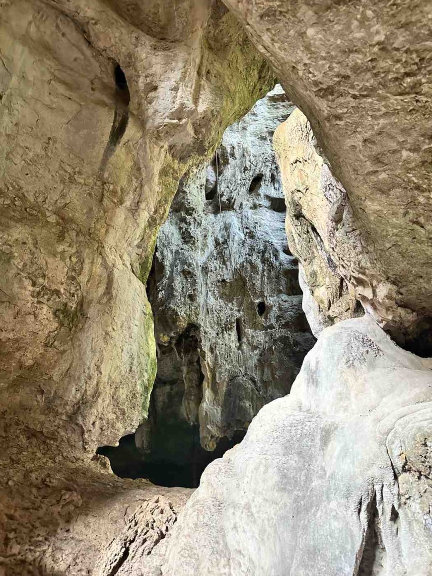 Catering: The Heart of Memorable Gatherings